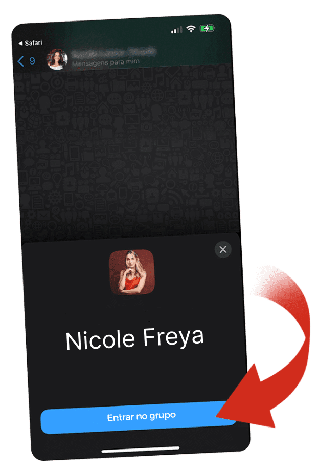 grupo nicole